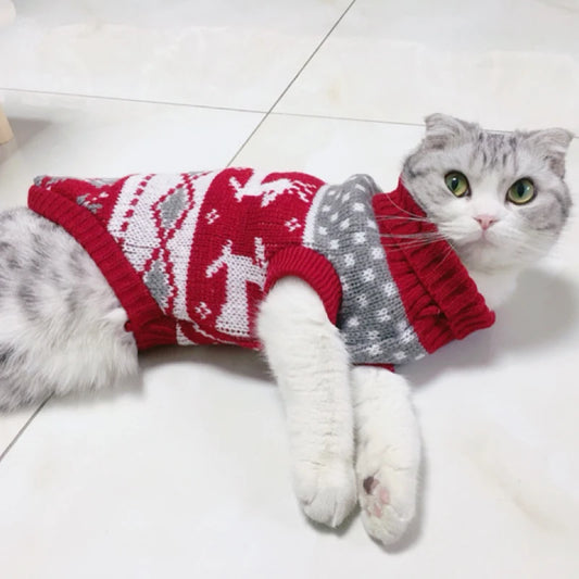 A cat wearing a Christmas sweater, warm and adorable for the winter season