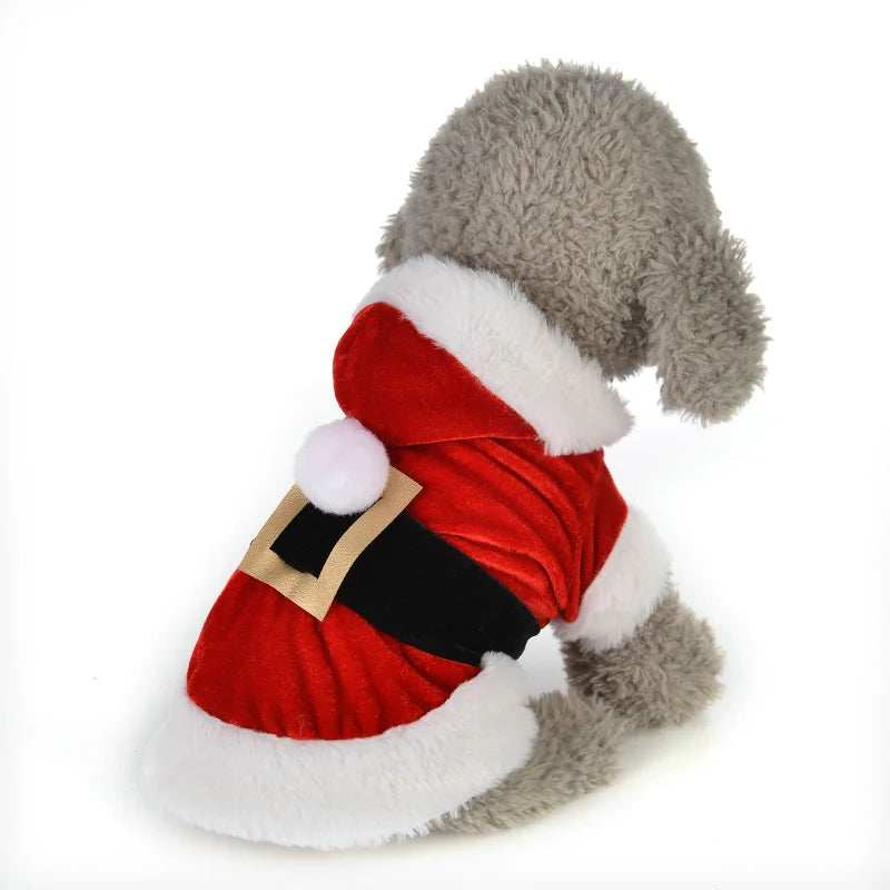 A small dog wearing a red Santa Claus costume, warm and adorable for the winter season