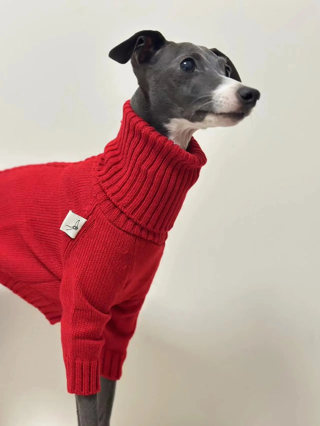 Italian Greyhound Sweater Whippet Turtleneck Red Christmas Knitted Sweater Warm Pet Clothing