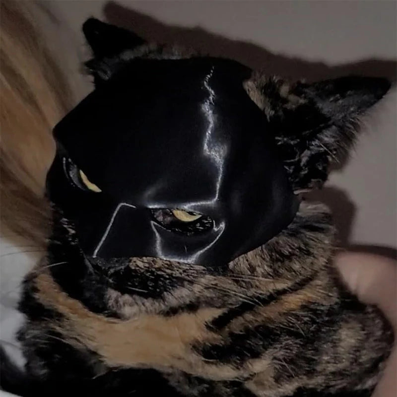 Adorable Bat Cat Mask - Transform Your Kitty into a Halloween Superhero!