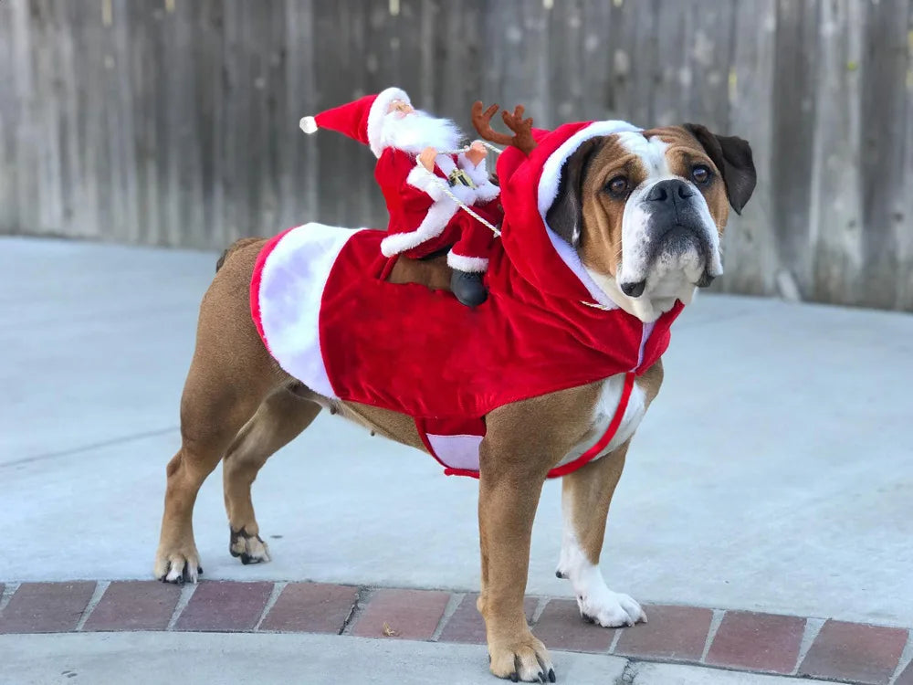 Creative Christmas Dog Costume Funny Christmas Santa Claus Riding on Dog Pet Cat Holiday Outfit Clothes Dressing Xmas