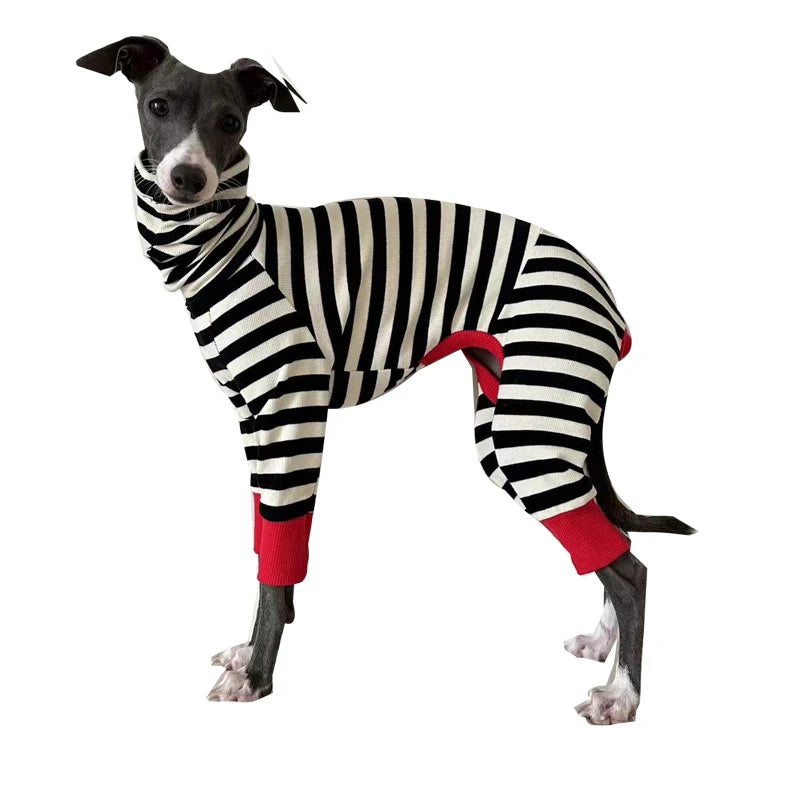 Italian greyhound striped four-legged clothing soft stretchy whippet clothing winter warm dog clothing