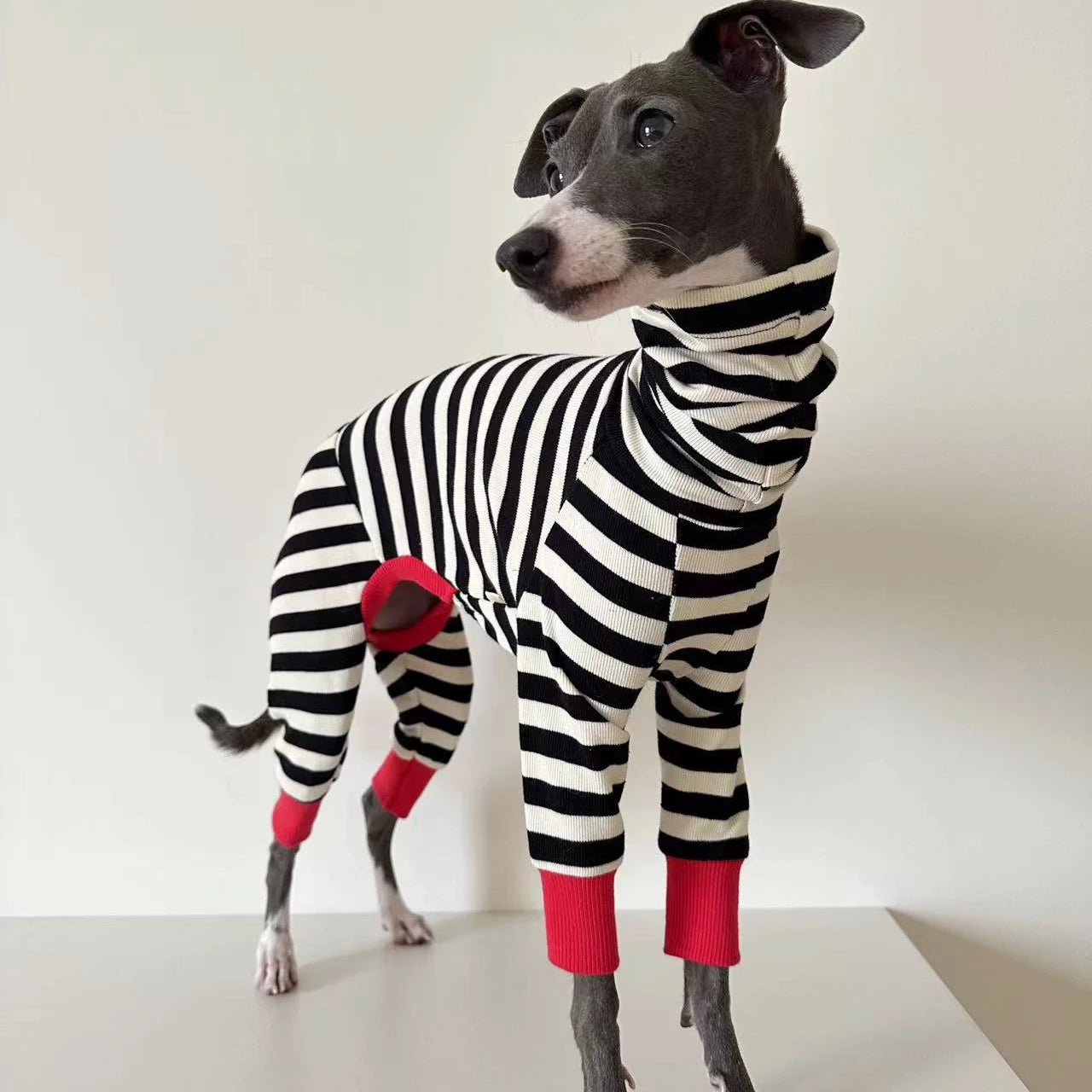 Italian greyhound striped four-legged clothing soft stretchy whippet clothing winter warm dog clothing