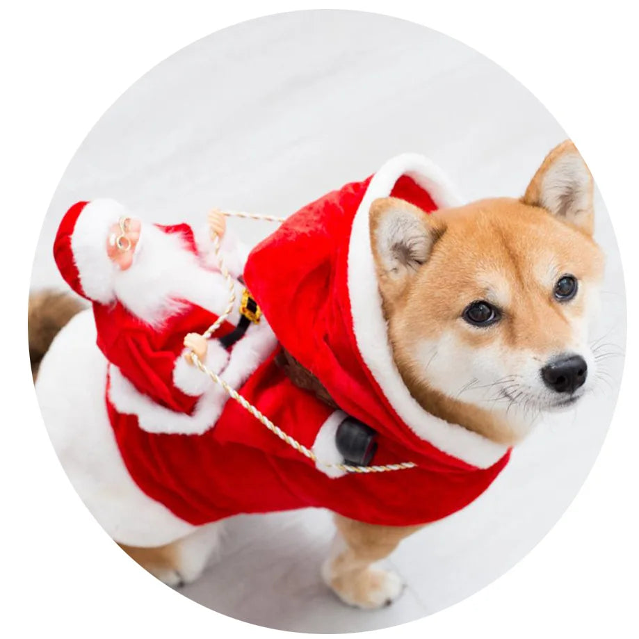 Creative Christmas Dog Costume Funny Christmas Santa Claus Riding on Dog Pet Cat Holiday Outfit Clothes Dressing Xmas