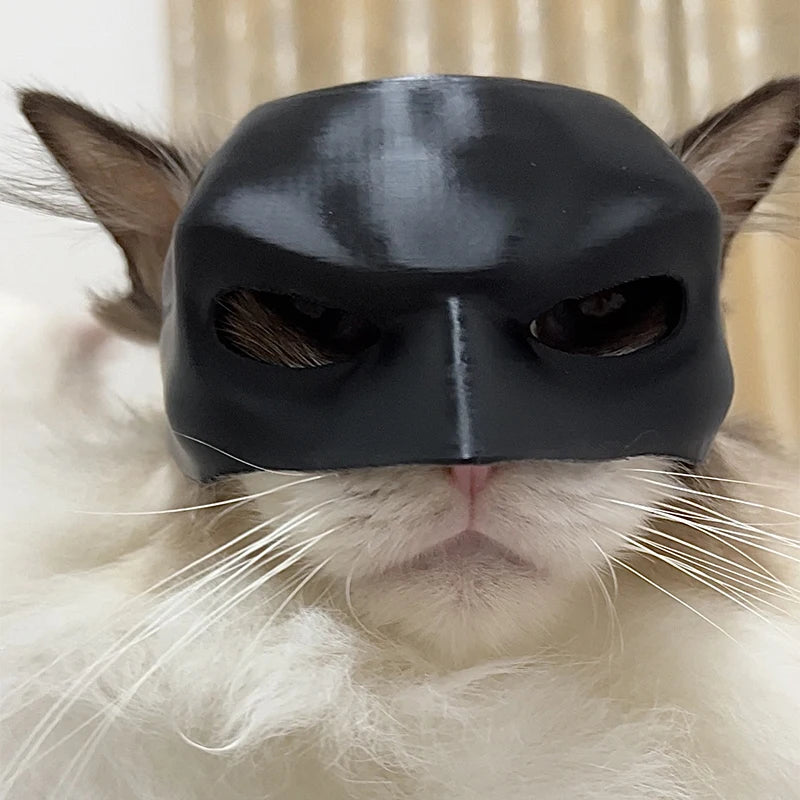 A cat wearing a Bat Cat Mask, ready to celebrate Halloween