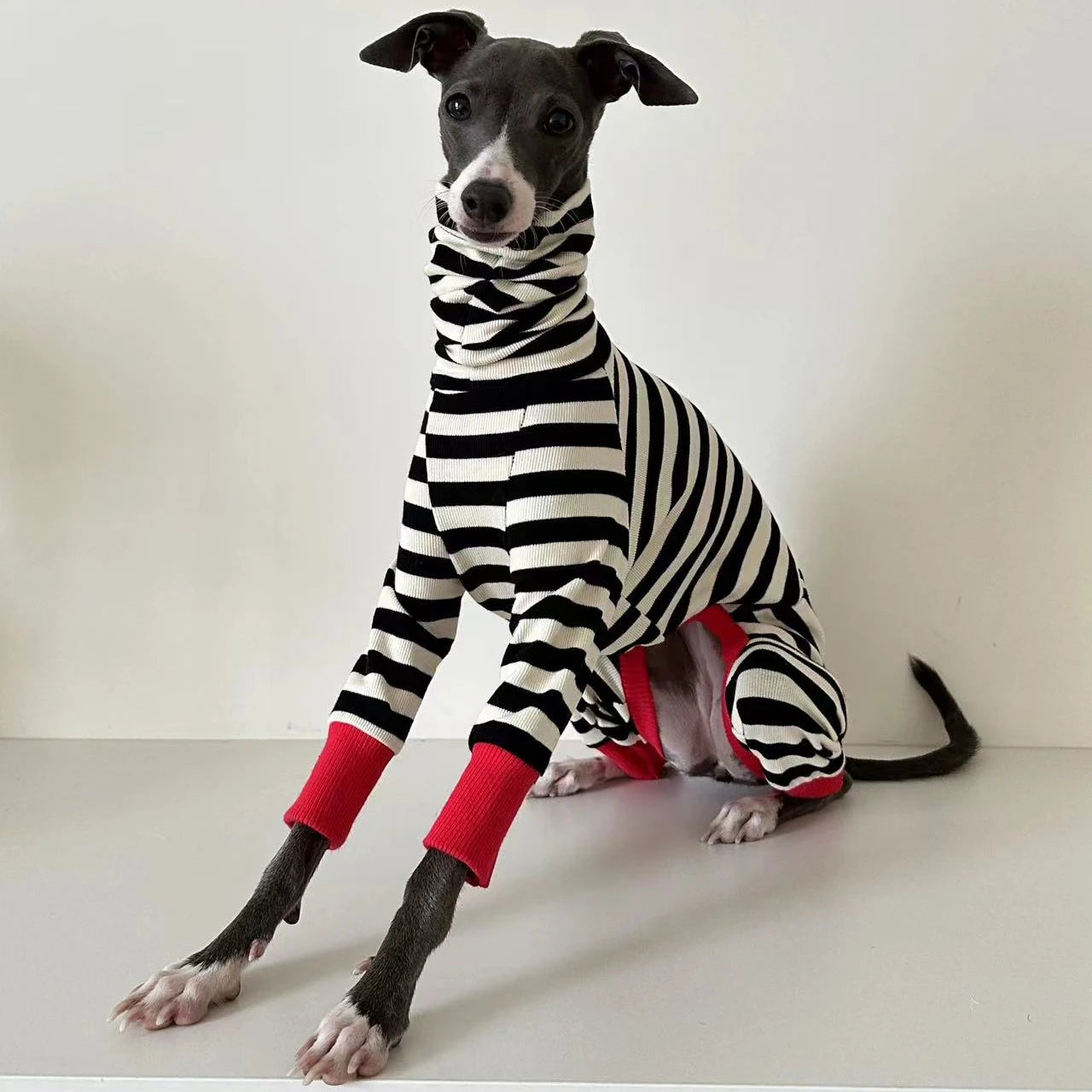 Italian greyhound striped four-legged clothing soft stretchy whippet clothing winter warm dog clothing