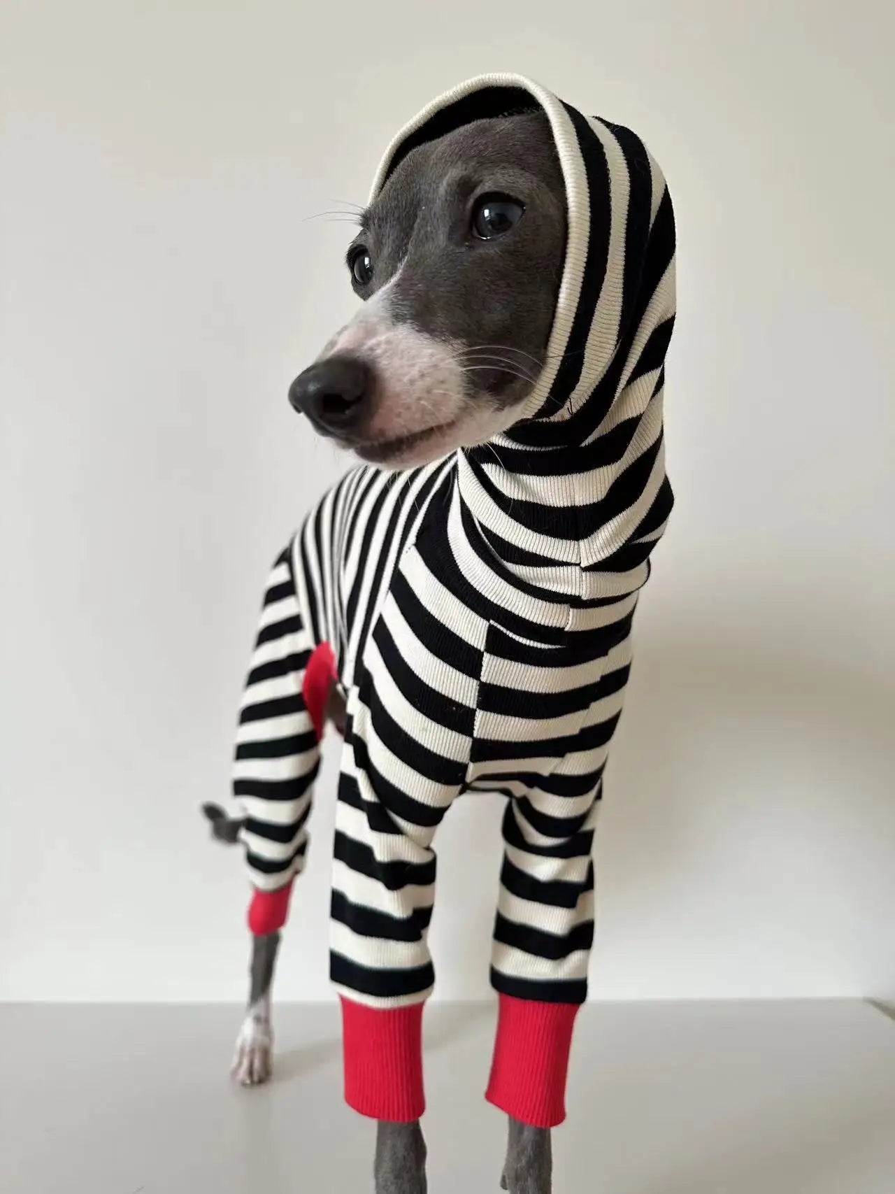 Italian greyhound striped four-legged clothing soft stretchy whippet clothing winter warm dog clothing