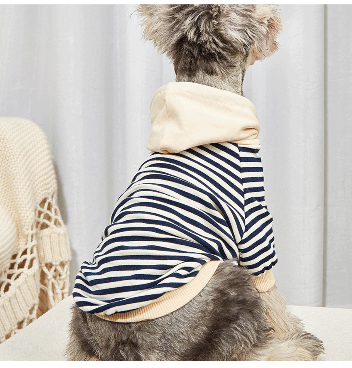 Pet clothes French Bulldog winter warm pet coat stripe Hoodie dog jacket cat dog clothing Chihuahua small and medium dog clothes