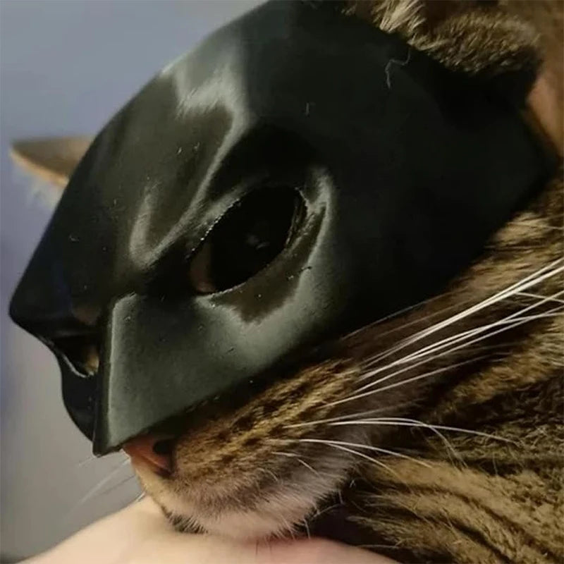 Adorable Bat Cat Mask - Transform Your Kitty into a Halloween Superhero!