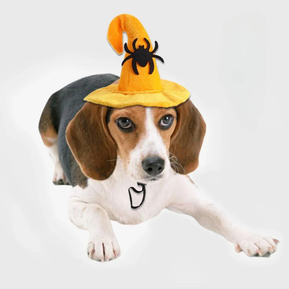 Halloween Small Pets Clothes Hat Bat Wings Funny Cat Dog Cosplay Costume Artificial Wing with Pumpkin Bells Halloween Supplies