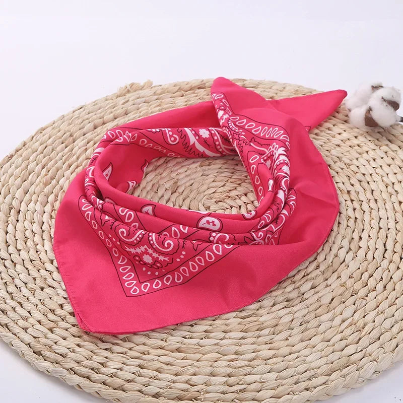 Trendy Paisley Bandana - Unisex Outdoor Multifunctional Accessory|Perfect Christmas Gift