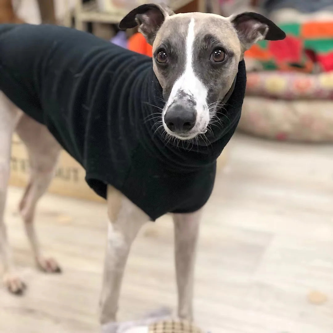 Winter Fleece Whippet Vest Italian Greyhound Clothes Turtleneck Dog Clothes Soft Fleece Clothes