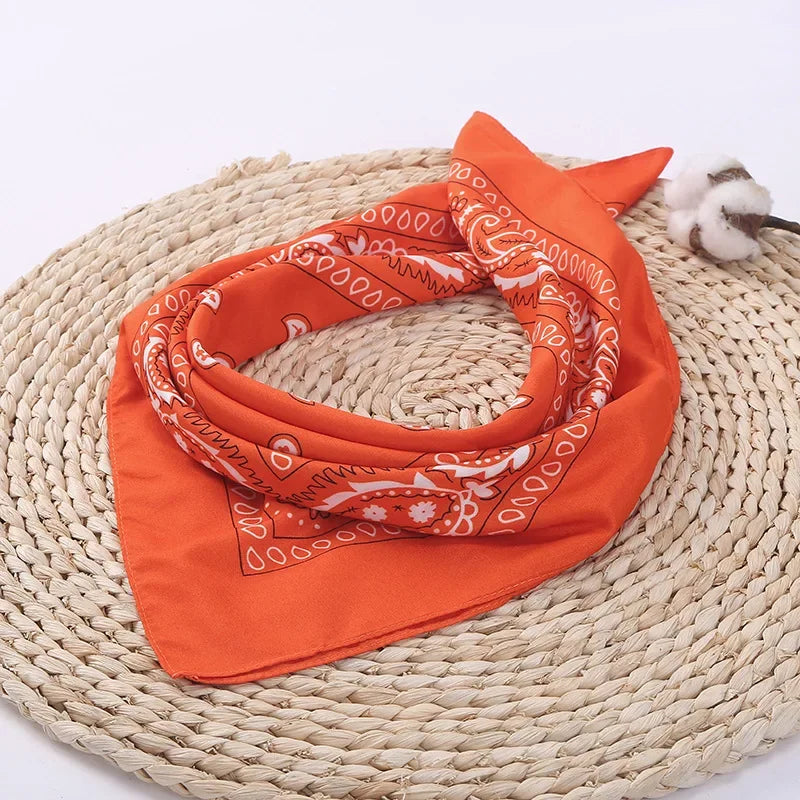 Trendy Paisley Bandana - Unisex Outdoor Multifunctional Accessory|Perfect Christmas Gift