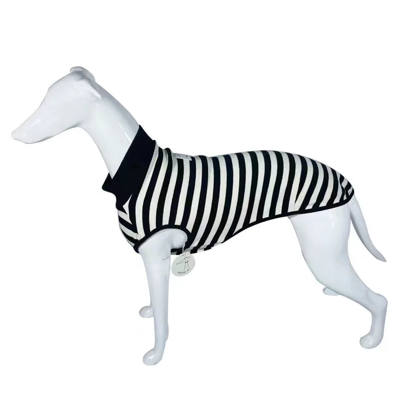 Italian Greyhound Dress Striped Stretch Summer Vest Black Whippet Dress